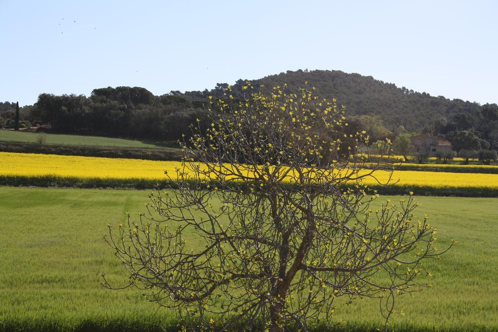 Masia Rural Can Poch ปัลส์ ภายนอก รูปภาพ